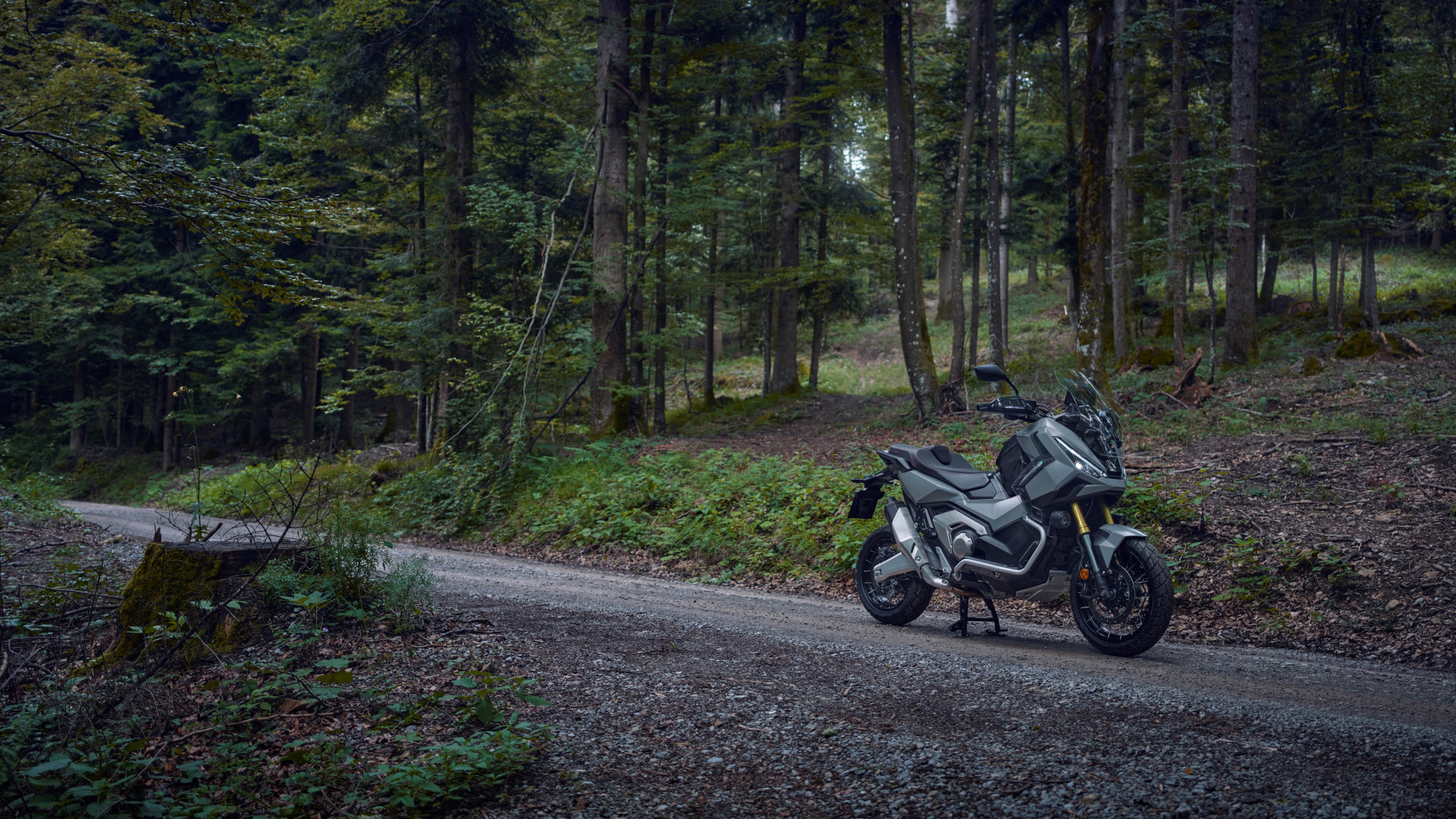 486201 25YM Honda X-ADV-4533x2550