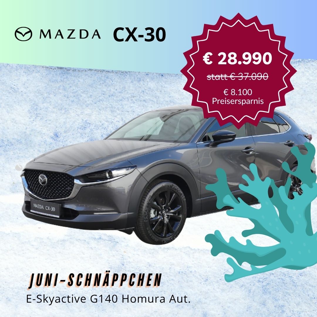 Ein Auto, das im Schnee geparkt ist.