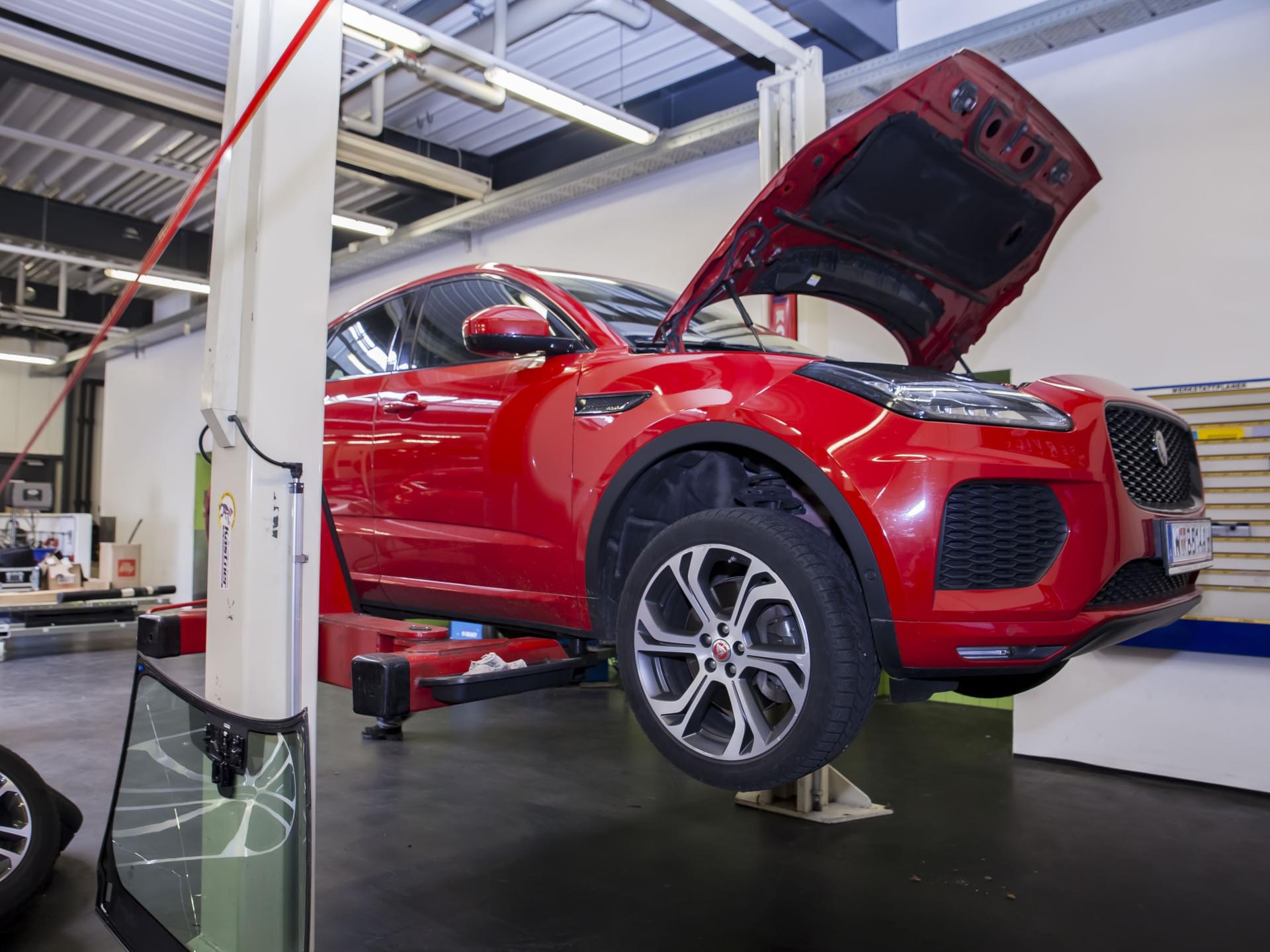 Auto Stahl Wien 23 – Teamfotos Werkstatt Wien 23 – 202505-069