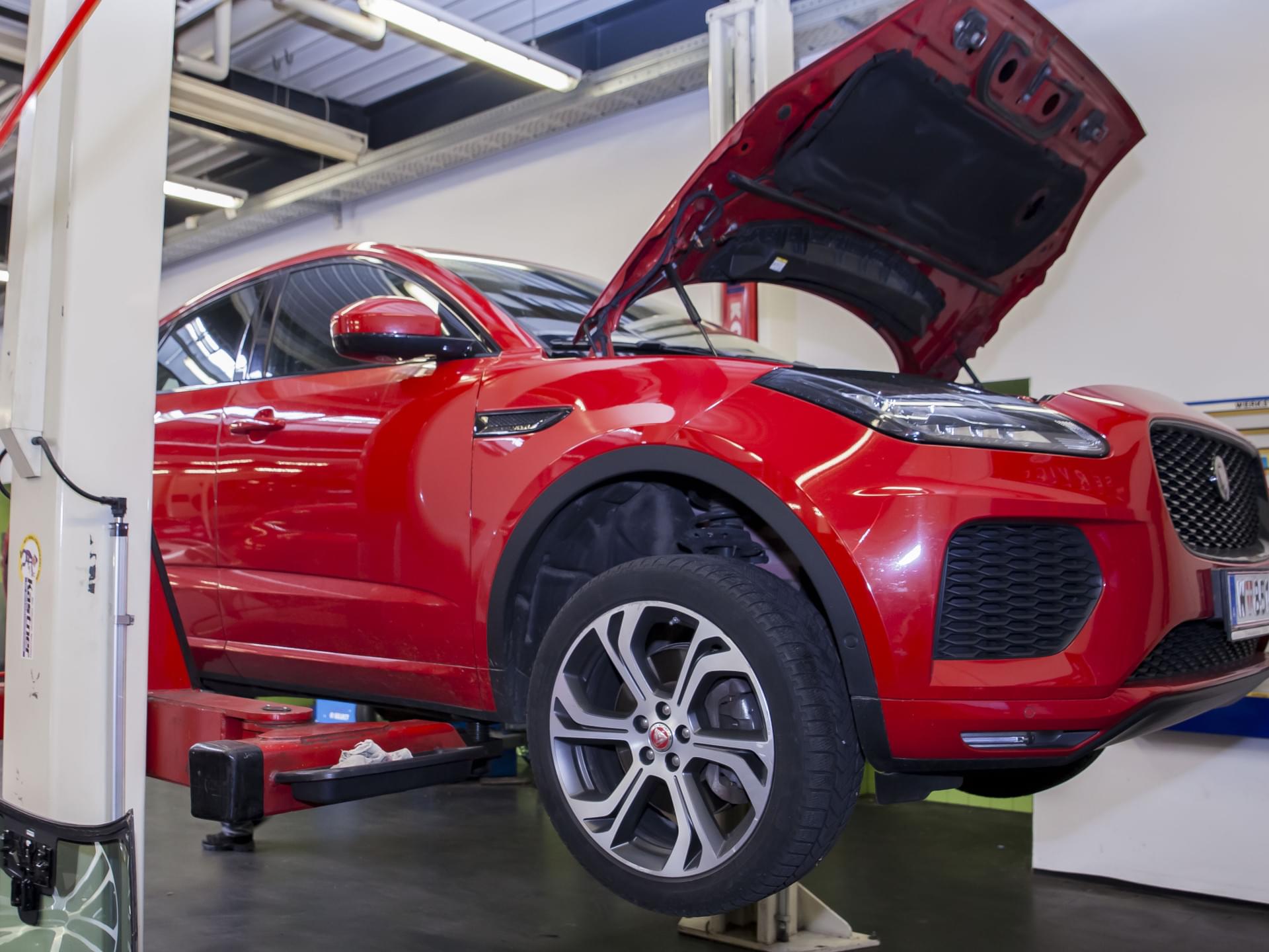 Auto Stahl Wien 23 – Teamfotos Werkstatt Wien 23 – 202505-069-4869x2934