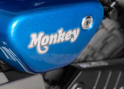 Monkey 125 Imagefoto