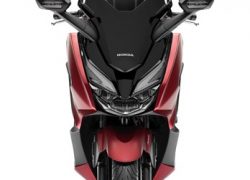 Honda Forza 125 bei Auto Stahl Frontansicht