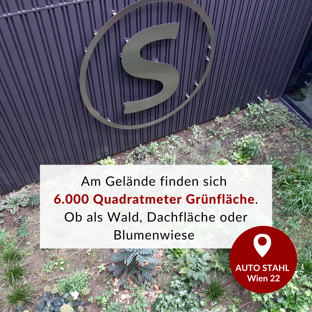 11.8.2022 Canva Wissenskarte 6.000qm Grünflächen W22